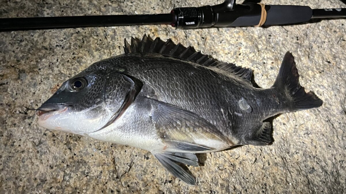 シマノ(SHIMANO) チニングロッド 20 ブレニアス BB